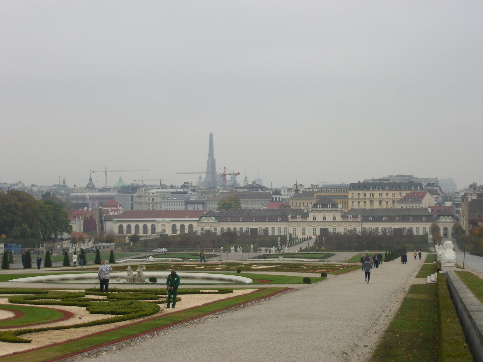Austria Wien